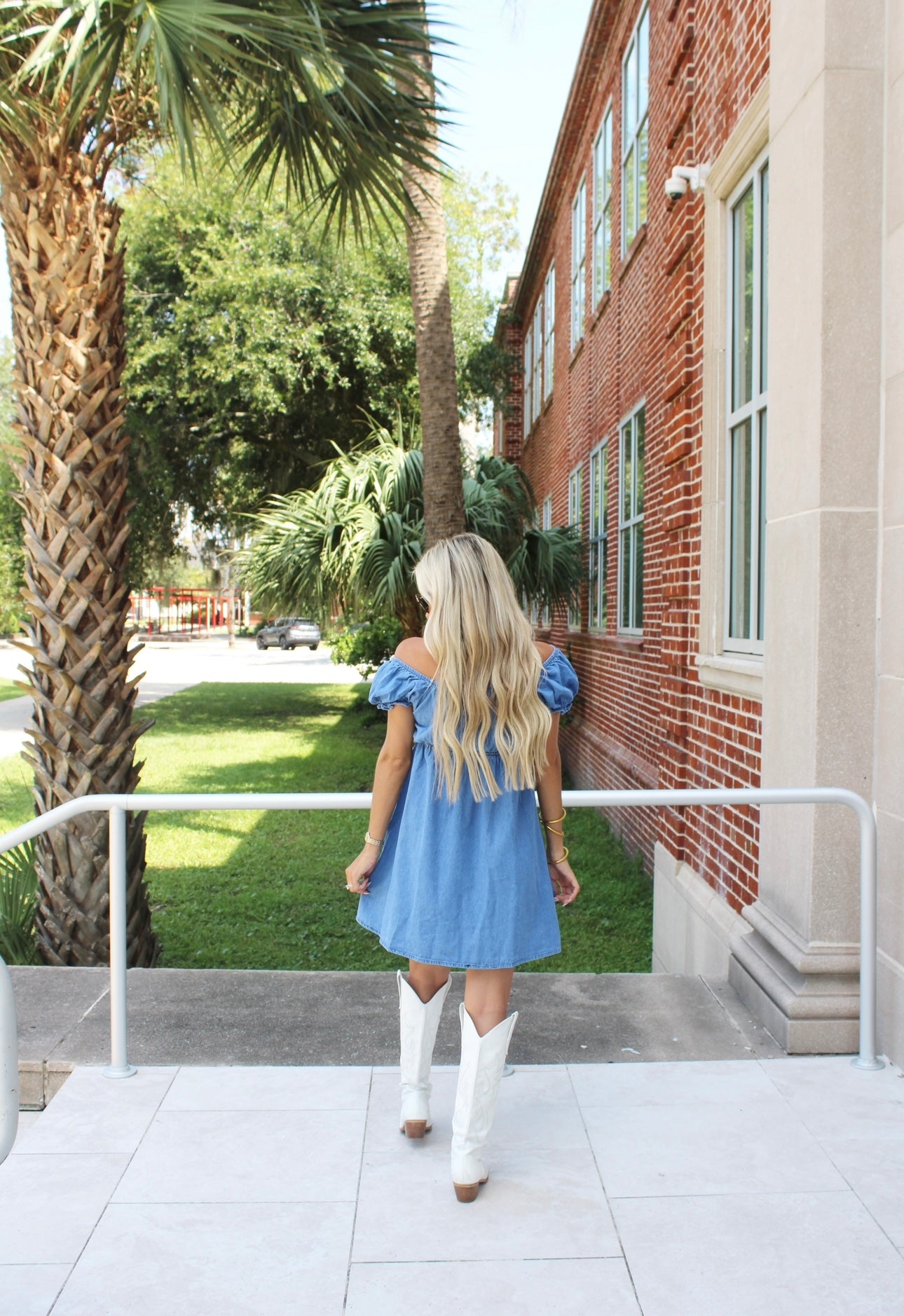 Bentley Denim Dress