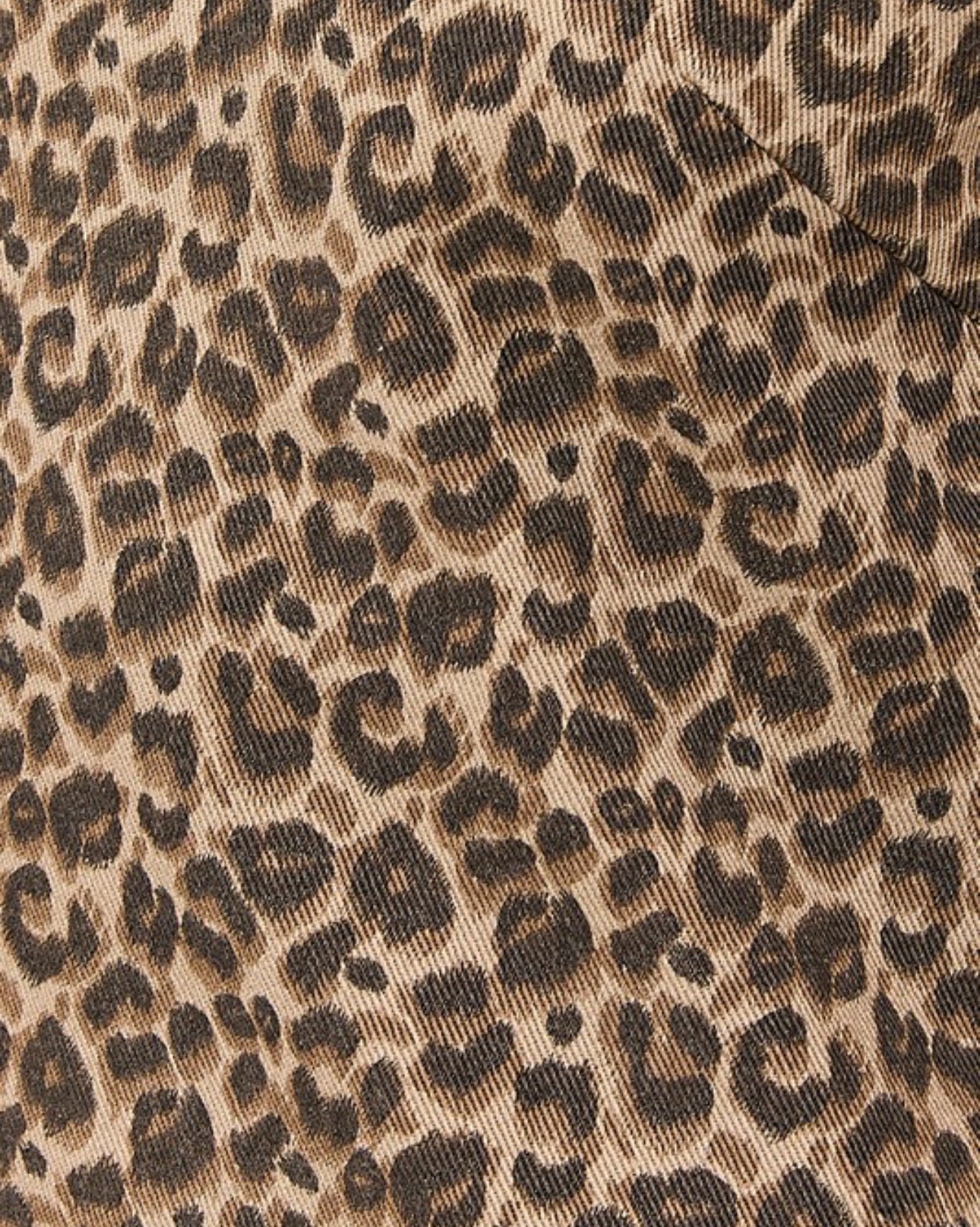 Luna Leopard Mini Dress